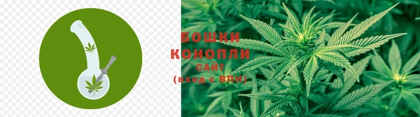 наркотики Гусев