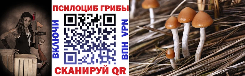 Псилоцибиновые грибы мицелий Белая Холуница