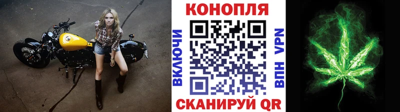 Бошки марихуана индика  Купить где  Белая Холуница 